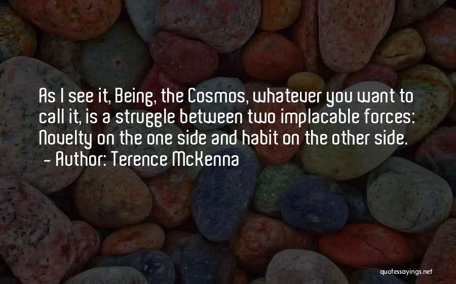 Best Terence Mckenna Quotes By Terence McKenna