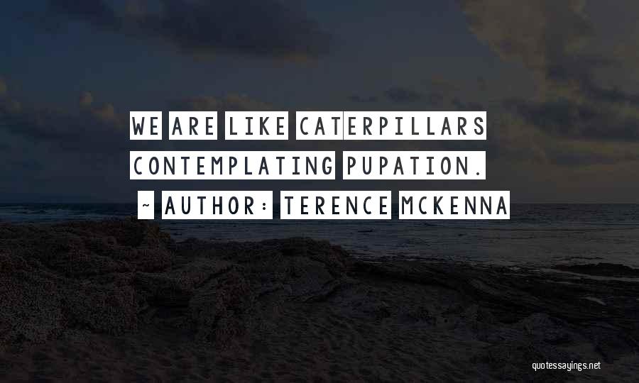 Best Terence Mckenna Quotes By Terence McKenna