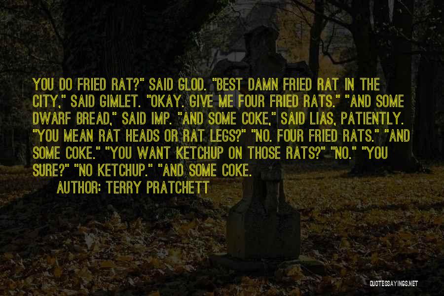 Best Terry Pratchett Quotes By Terry Pratchett