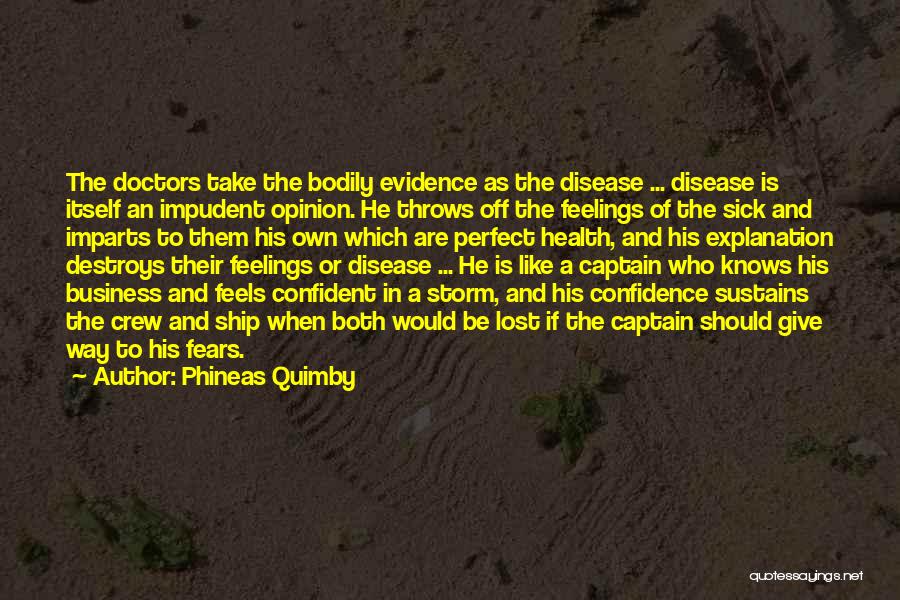 Best The Perfect Storm Quotes By Phineas Quimby