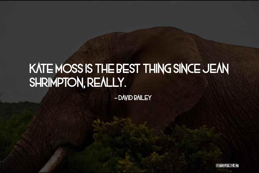 Best Thing Since Quotes By David Bailey Best Thing Since Quotes By David Bailey
