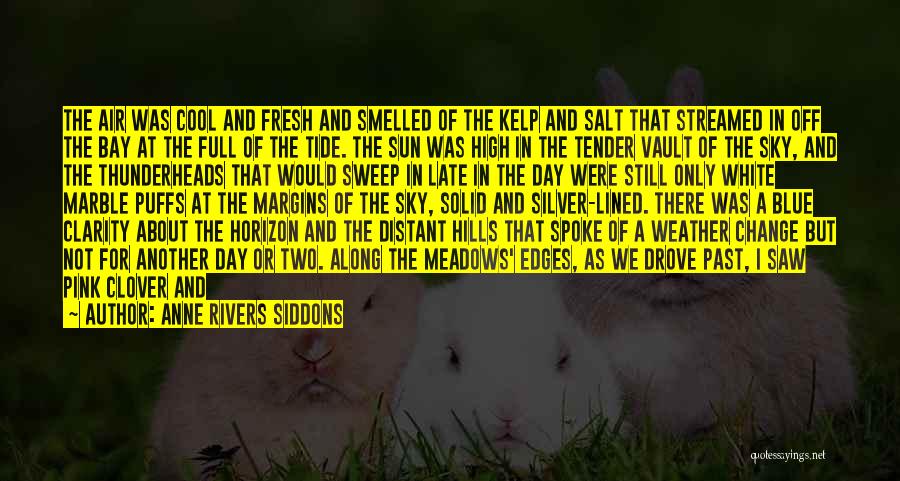 Best Tide Quotes By Anne Rivers Siddons