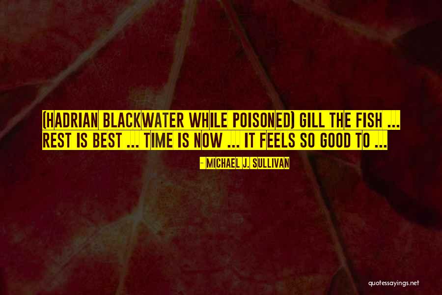 Best Time Is Now Quotes By Michael J. Sullivan Best Time Is Now Quotes By Michael J. Sullivan