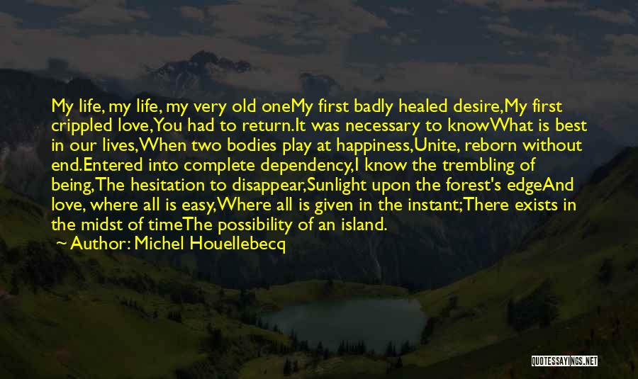 Best Time Of Our Lives Quotes By Michel Houellebecq