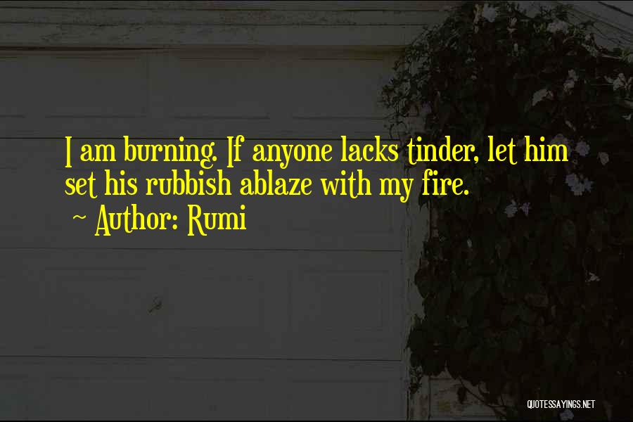 Best Tinder Quotes By Rumi