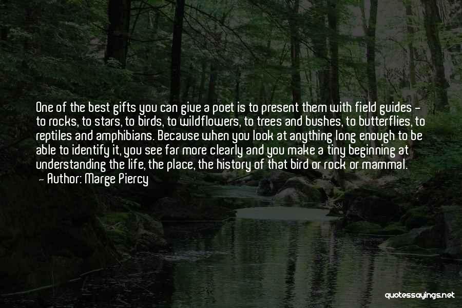 Best Tiny Quotes By Marge Piercy