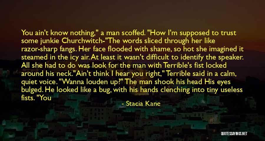 Best Tiny Quotes By Stacia Kane