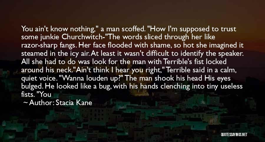 Best To Say Nothing At All Quotes By Stacia Kane