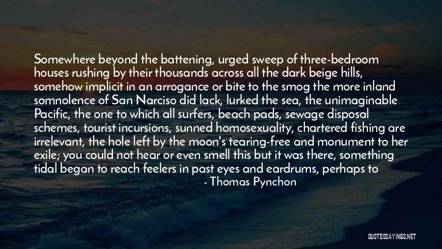 Best Tourist Quotes By Thomas Pynchon