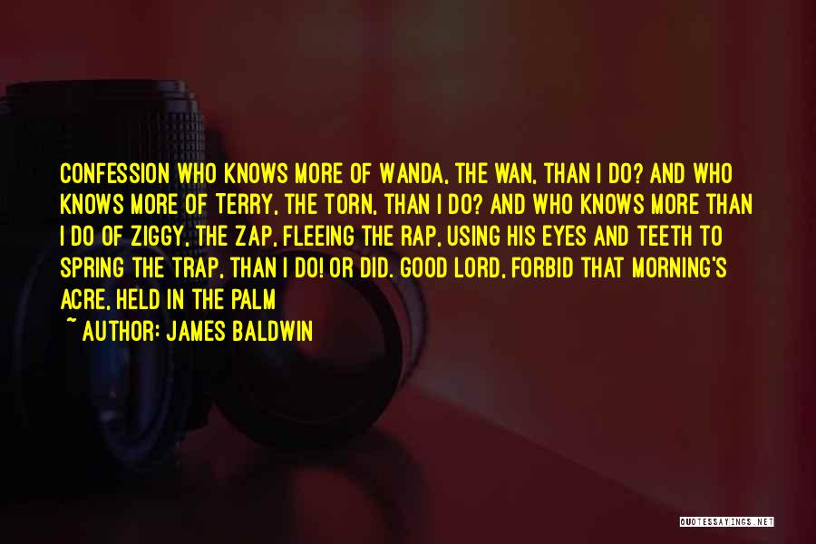 Best Trap Rap Quotes By James Baldwin