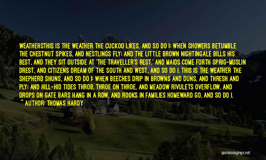 Best Traveller Quotes By Thomas Hardy