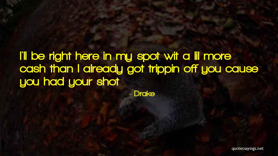 Best Trippin Quotes By Drake