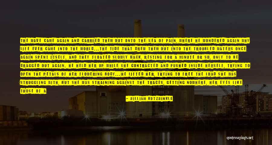 Best Troubled Love Quotes By William Kotzwinkle Best Troubled Love Quotes By William Kotzwinkle