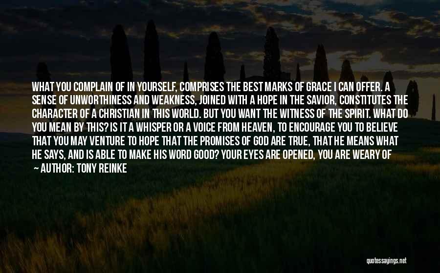 Best True God Quotes By Tony Reinke