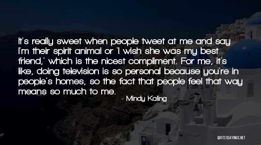 Best Tweet Quotes By Mindy Kaling