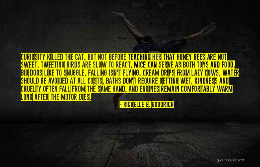 Best Tweeting Quotes By Richelle E. Goodrich