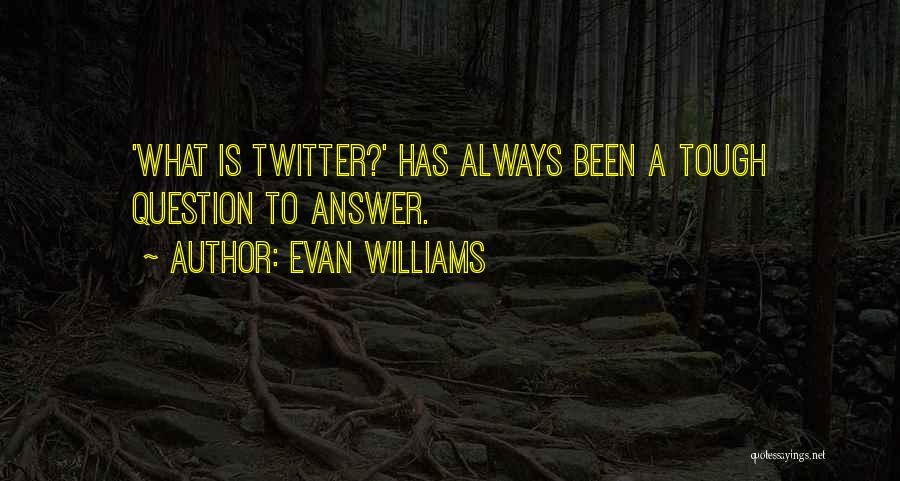 Best Twitter Quotes By Evan Williams