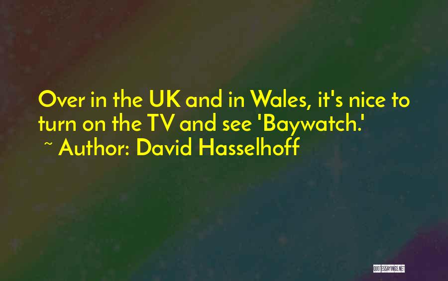 Best Uk Tv Quotes By David Hasselhoff