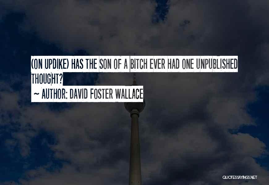 Best Updike Quotes By David Foster Wallace