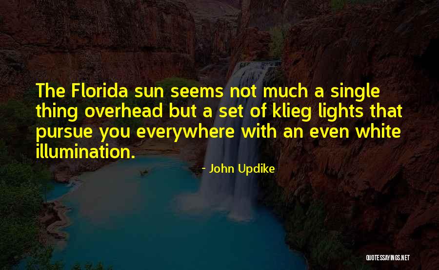 Best Updike Quotes By John Updike