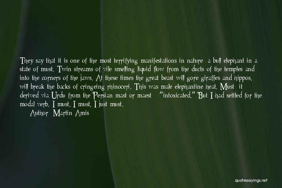 Best Urdu Quotes By Martin Amis