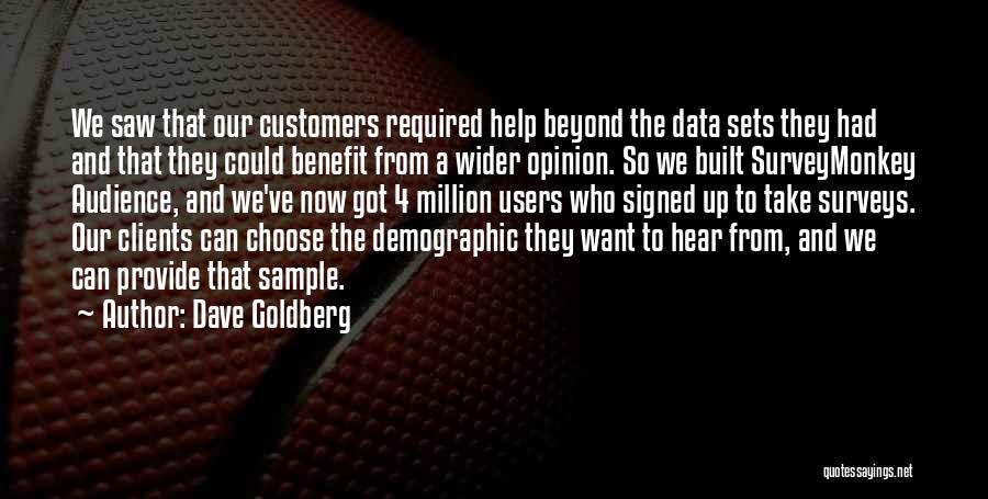 Best Users Quotes By Dave Goldberg