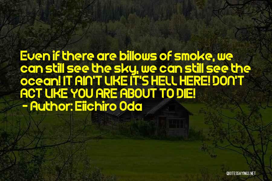 Best Usopp Quotes By Eiichiro Oda