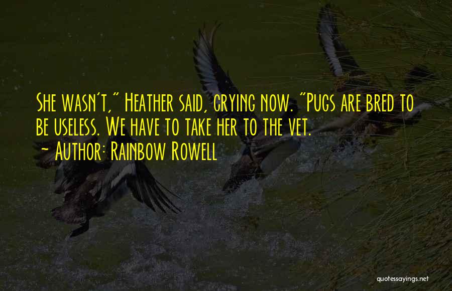 Best Vet Quotes By Rainbow Rowell