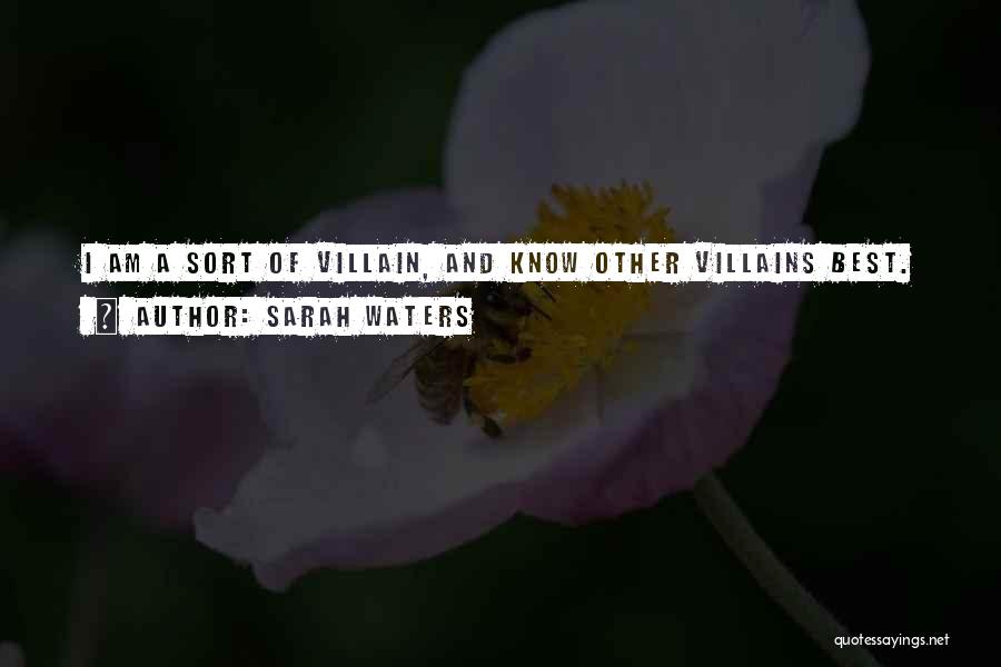 Best Villain Quotes By Sarah Waters