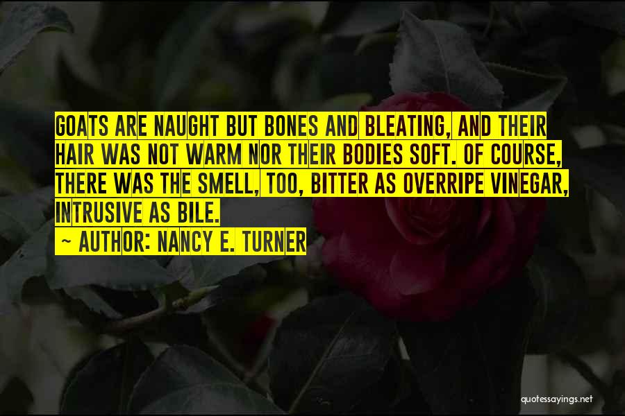 Best Vinegar Quotes By Nancy E. Turner