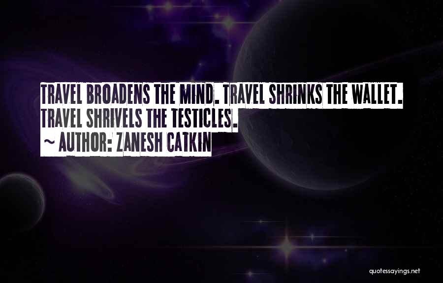 Best Wallet Quotes By Zanesh Catkin