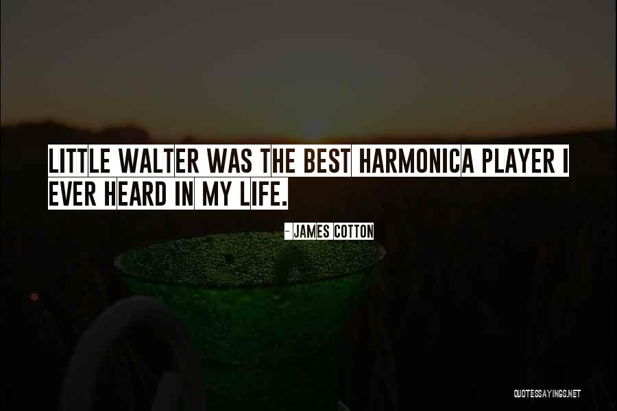 Best Walter Quotes By James Cotton Best Walter Quotes By James Cotton