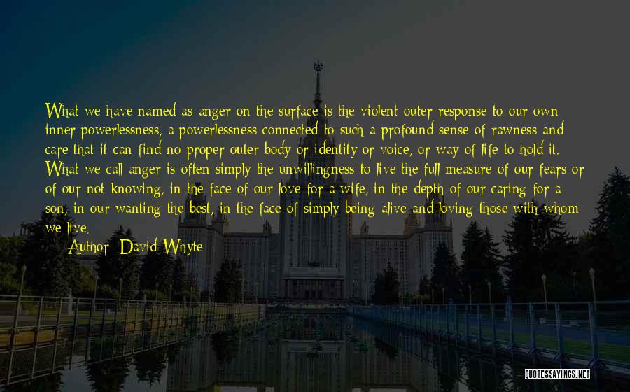Best Wanting Quotes By David Whyte