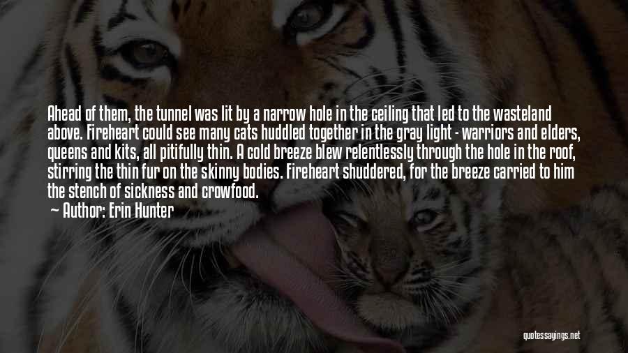 Best Warriors Cats Quotes By Erin Hunter