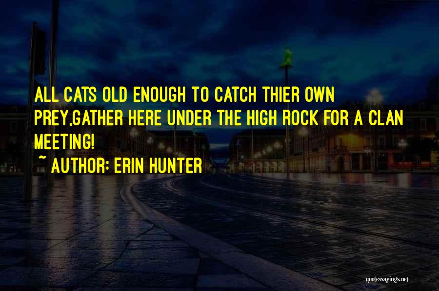 Best Warriors Cats Quotes By Erin Hunter