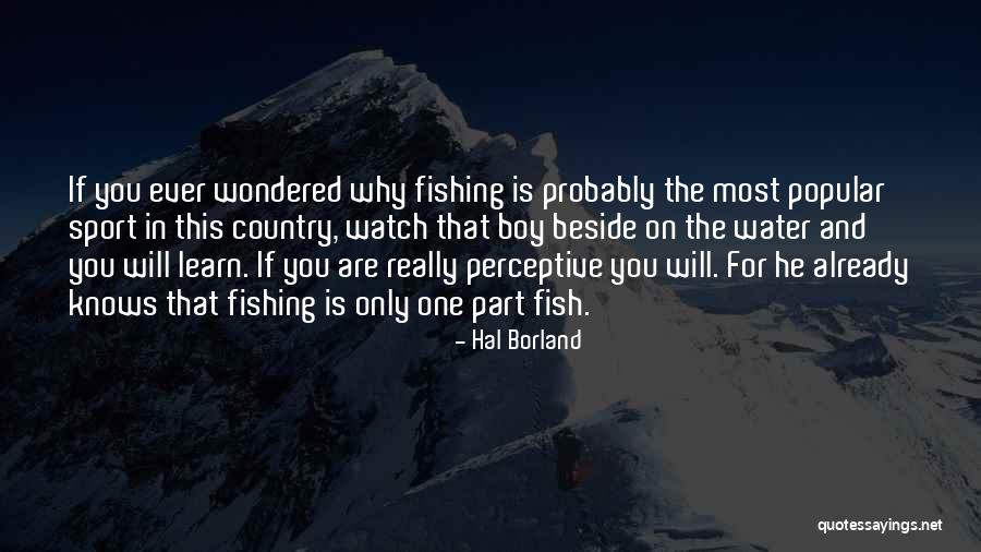 Best Water Boy Quotes By Hal Borland Best Water Boy Quotes By Hal Borland