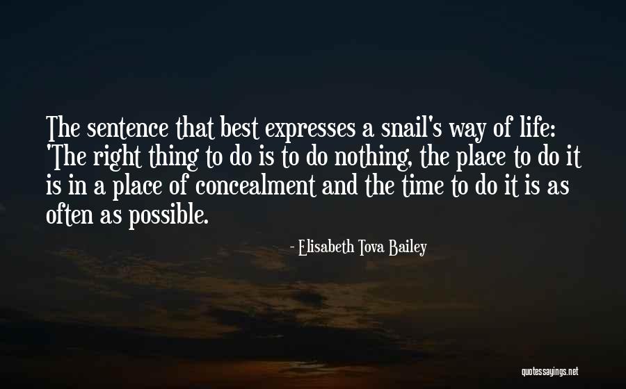 Best Way Of Life Quotes By Elisabeth Tova Bailey