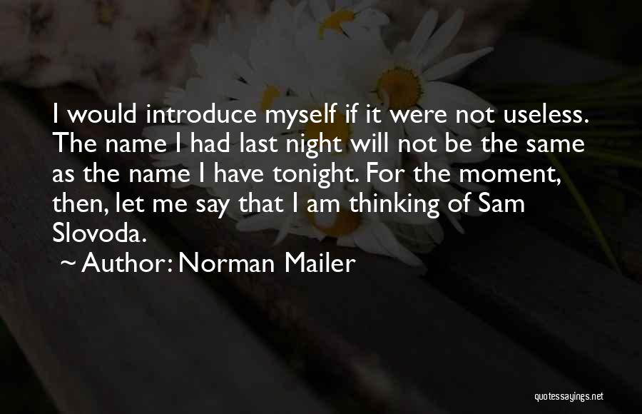 Best Way To Introduce Quotes By Norman Mailer
