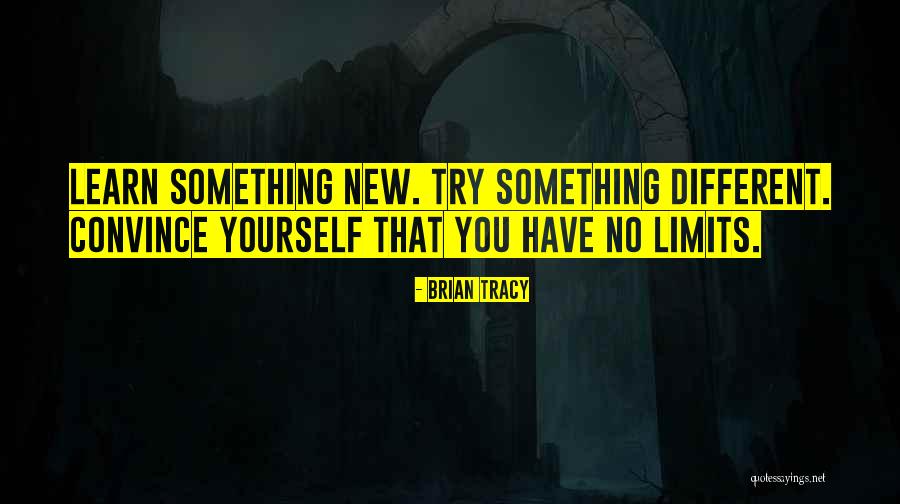 Best Way To Learn New Things Quotes By Brian Tracy Best Way To Learn New Things Quotes By Brian Tracy