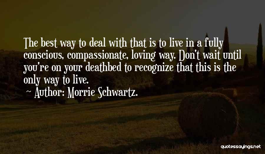 Best Way To Live Quotes By Morrie Schwartz.