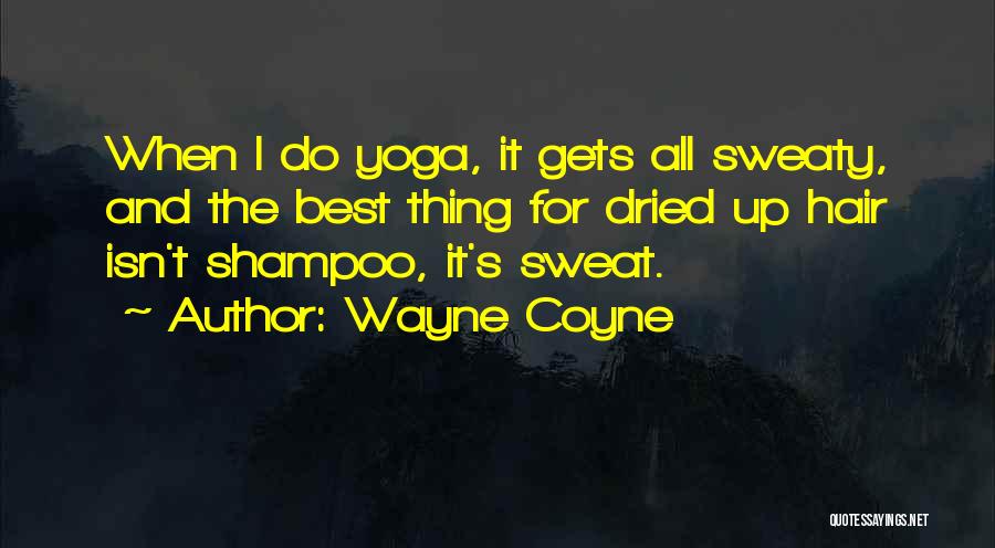 Best Wayne Coyne Quotes By Wayne Coyne