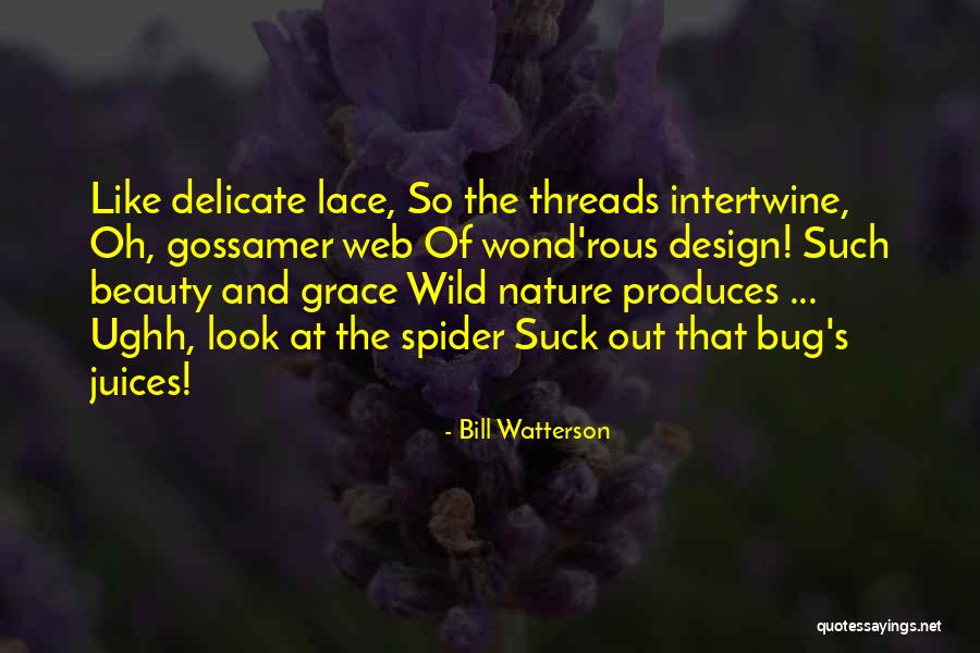 Best Web Design Quotes By Bill Watterson