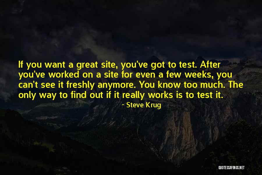 Best Web Design Quotes By Steve Krug