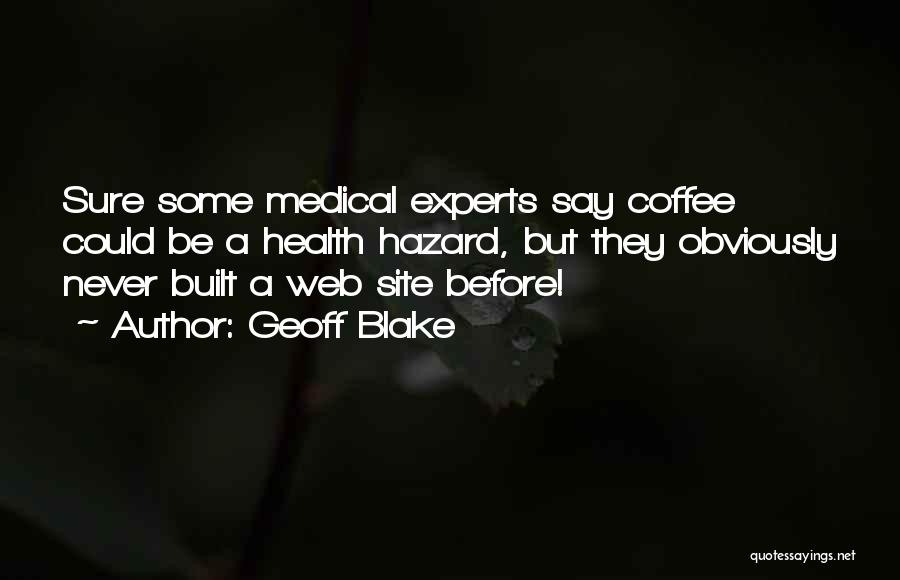 Best Website Design Quotes By Geoff Blake