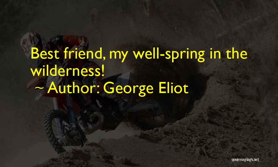 Best Wilderness Quotes By George Eliot