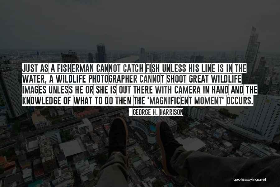 Best Wildlife Photography Quotes By George H. Harrison