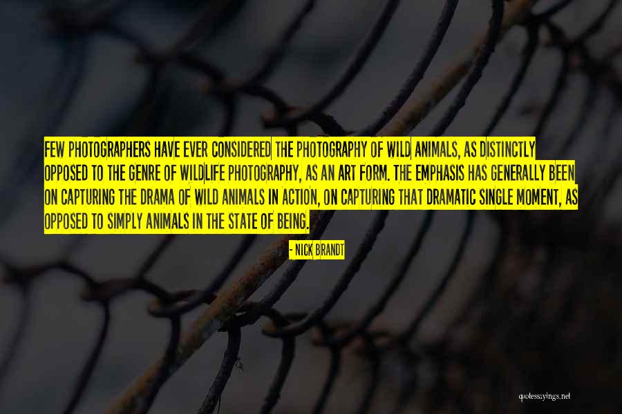 Best Wildlife Photography Quotes By Nick Brandt