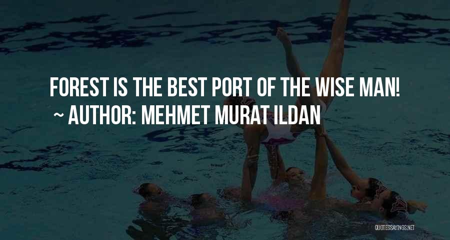 Best Wise Man Quotes By Mehmet Murat Ildan