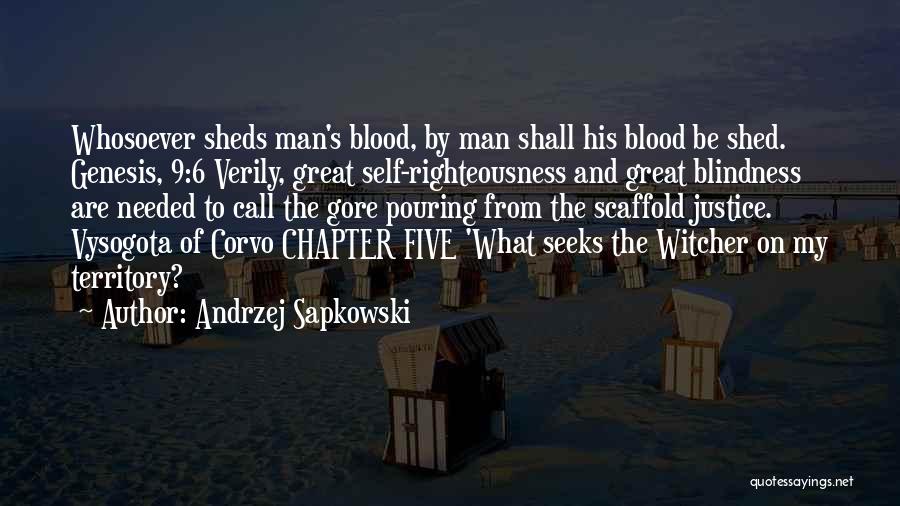 Best Witcher 3 Quotes By Andrzej Sapkowski