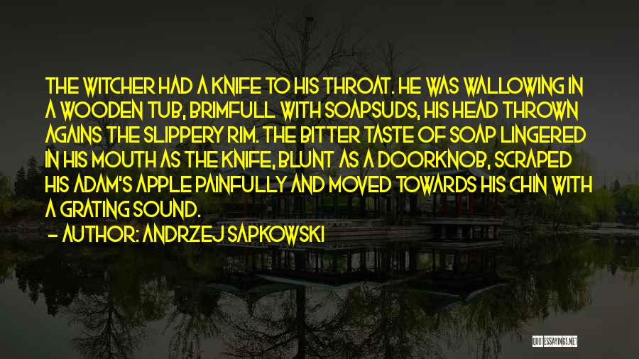 Best Witcher 3 Quotes By Andrzej Sapkowski